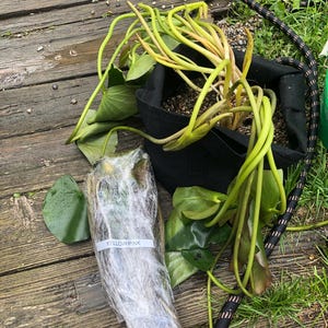 Jill added a photo of their purchase