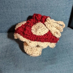 Sara added a photo of their purchase