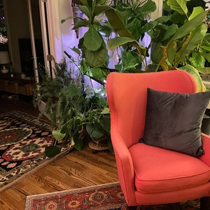 Colleen added a photo of their purchase