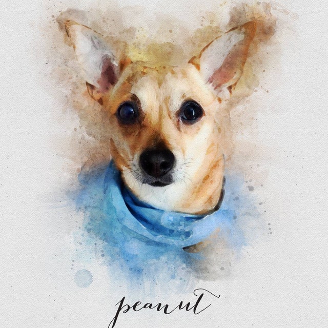 写真から水彩画のペットの肖像画、カスタム犬の肖像画、パーソナライズ