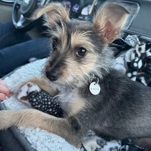 Alexandria added a photo of their purchase