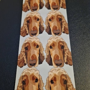 Beverley a ajouté une photo de son achat