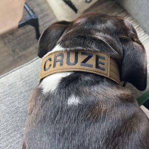Luke added a photo of their purchase