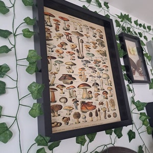 Ingrid heeft een foto van de aankoop toegevoegd