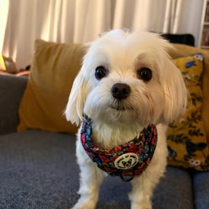 Sarah ha añadido una foto de su compra