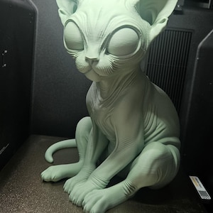 Mirre added a photo of their purchase