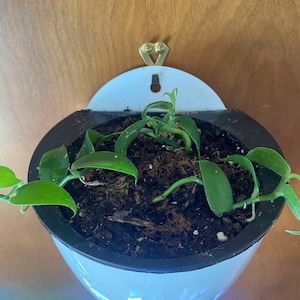 Jessica ha añadido una foto de su compra