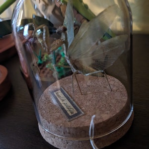 amber added a photo of their purchase
