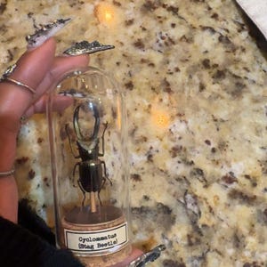 Haleigh added a photo of their purchase