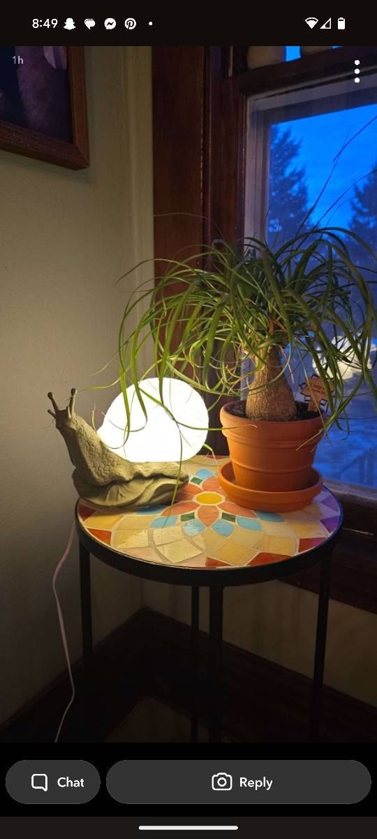 Bright Snail Lamp, 3d Snail Lamp, Desk Decoration, Office decoration, Custom Lamp, Snail Light, Cottagecore Lamp