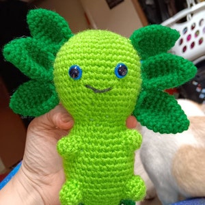 Samantha added a photo of their purchase