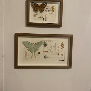 Jessie added a photo of their purchase