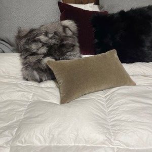 Michael added a photo of their purchase