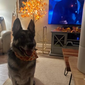 Jessie added a photo of their purchase
