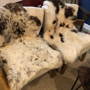 Erin added a photo of their purchase