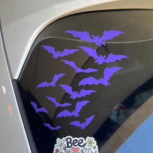 Ailyah added a photo of their purchase
