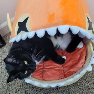 Casey added a photo of their purchase