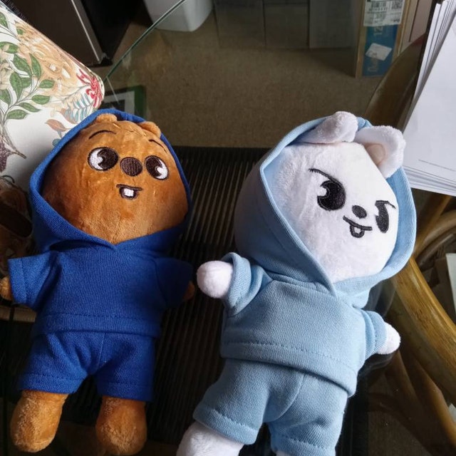 Skzoo Hoodie Set, Stray Kids Plushies, Skzoo Outfits, Skzoo