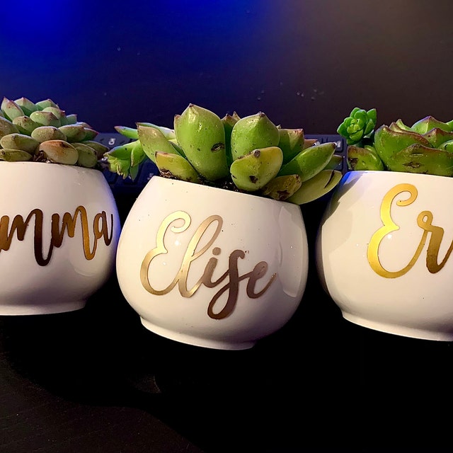 Personalized Pots with Engraved Photo as Gifts for Her. image 6