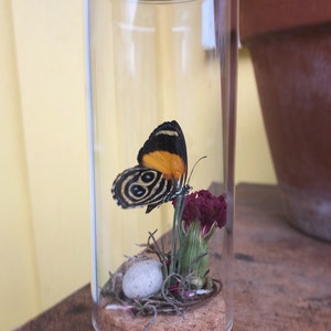 Poe’s added a photo of their purchase