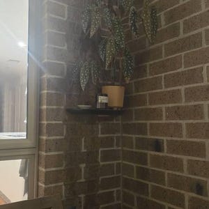 Yee added a photo of their purchase