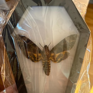 Athena a ajouté une photo de son achat