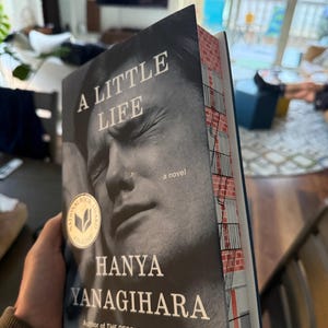 A Little Life by Hanya Yanagihara: Hand-Painted Hardcover Book
