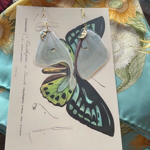 Madison added a photo of their purchase