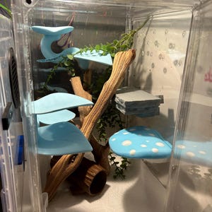 kayla added a photo of their purchase