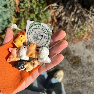 David added a photo of their purchase