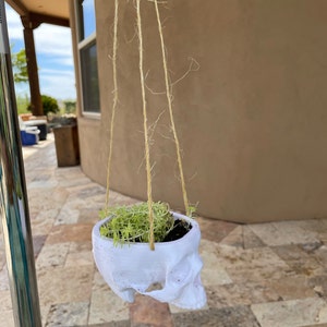 Lena added a photo of their purchase