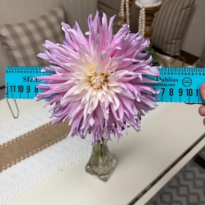 Tracy added a photo of their purchase