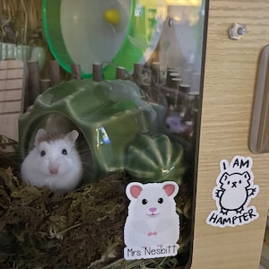 CrIstinA added a photo of their purchase
