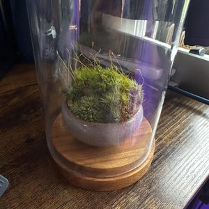 Gabriel hat ein Foto des gekauften Artikels hinzugefügt