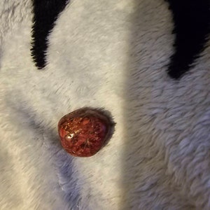 Inactive account added a photo of their purchase