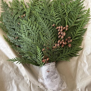 Debra added a photo of their purchase