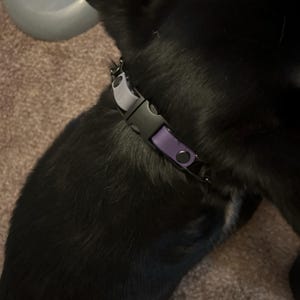 Ki added a photo of their purchase
