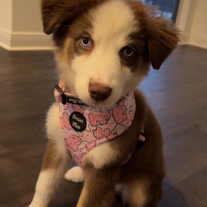 Amber added a photo of their purchase