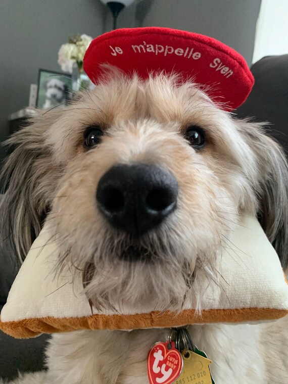 Customer photo of a pet with the Beret Personalized for small pet Raspberry