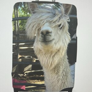 Lisa added a photo of their purchase