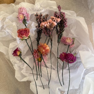 Matilda added a photo of their purchase