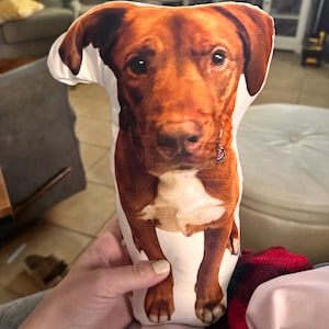 Brook added a photo of their purchase