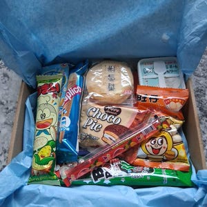 Asian Mystery Snack Box - Full & Mini Size Products Japanese/china