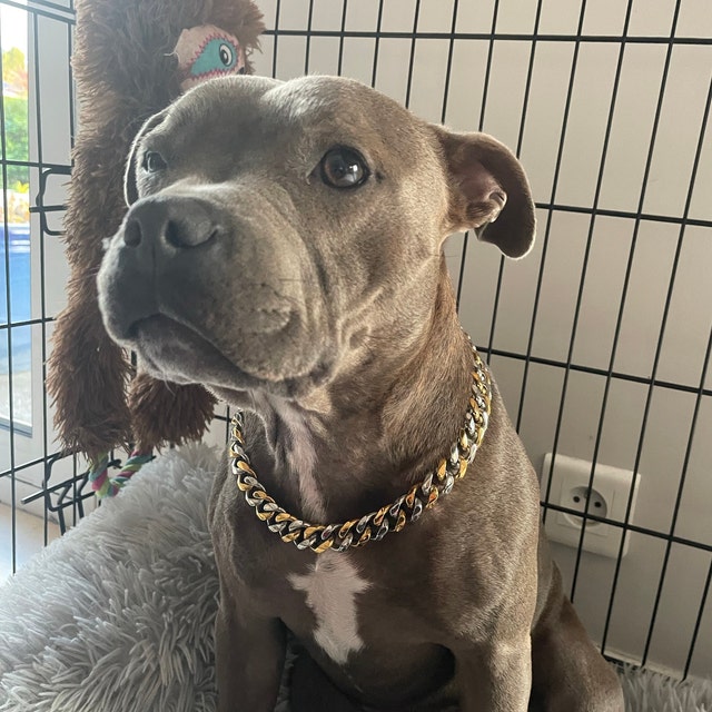 Puppy Cuban Link Collar Diamond Cuban Chain Dog Collar Hip Hop