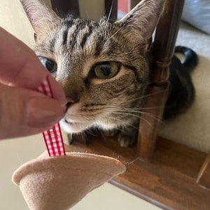 Thomas added a photo of their purchase
