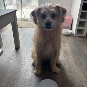 Simon added a photo of their purchase