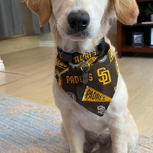 dog padres jersey