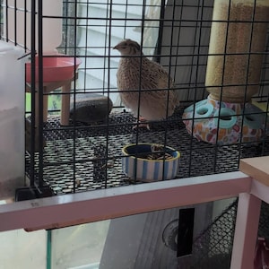 Olive added a photo of their purchase