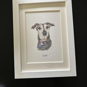 Madie added a photo of their purchase