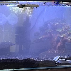 Samantha added a photo of their purchase